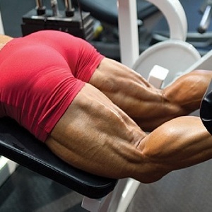 허리가 뻐근하다? 햄스트링(hamstring) 스트레칭을 하자!